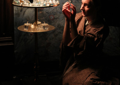 Glass Menagerie | 2011